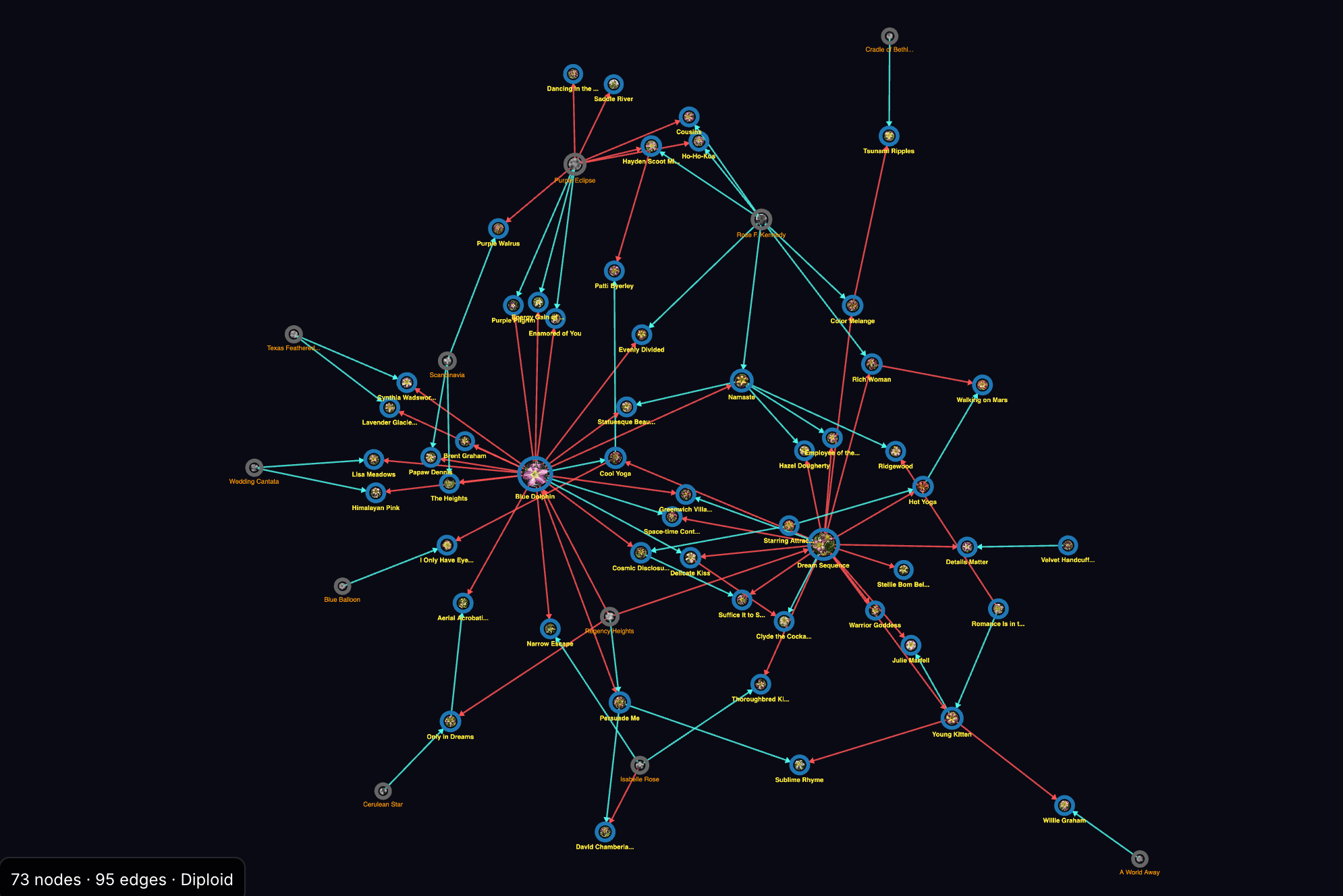 Hybridizer network graph of 73 varieties and 95 parentage connections, drawn as red pod-parent and cyan pollen-parent lines between bloom photos.