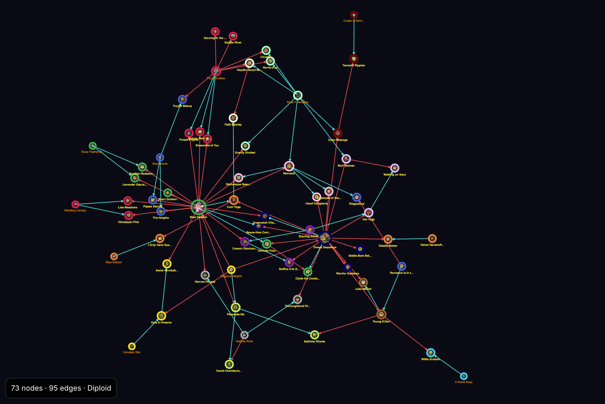The Visualizer's network view of one hybridizer's breeding program: 73 varieties joined by red pod-parent and cyan pollen-parent lines, each node ringed in the color of its detected breeding community.