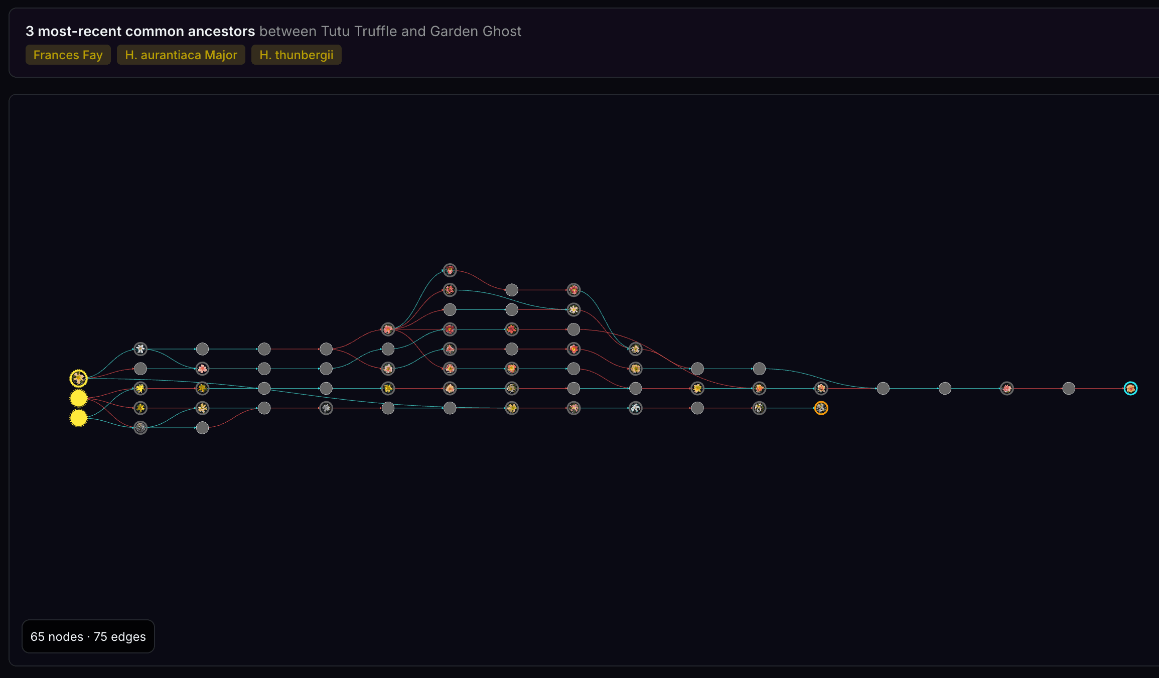 Common Ancestor result showing the three most recent shared ancestors between Tutu Truffle and Garden Ghost, with both descent paths traced through 65 varieties.